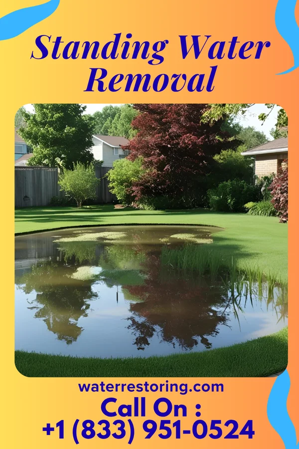 Standing Water Removal in Teviston, CA
